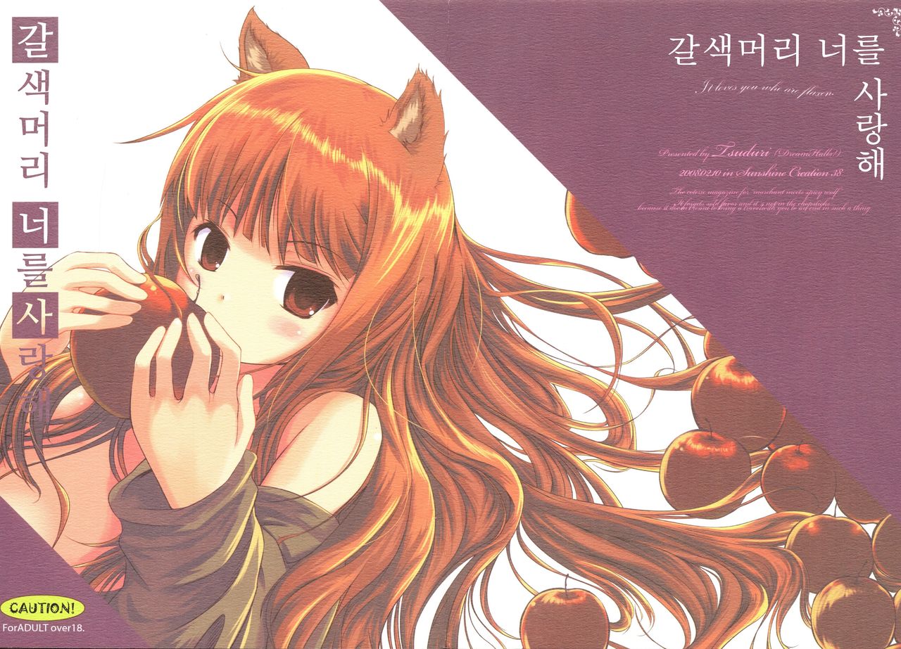 Amairo no Kimi o Aisu | 갈색머리 너를 사랑해 page 1 full
